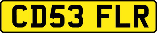 CD53FLR