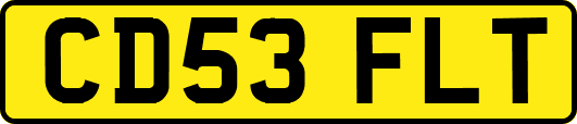 CD53FLT