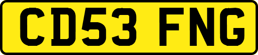 CD53FNG