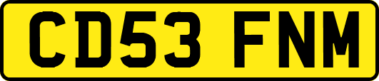 CD53FNM