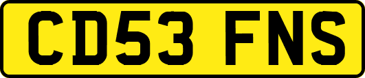 CD53FNS
