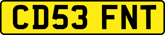 CD53FNT