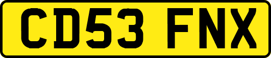 CD53FNX