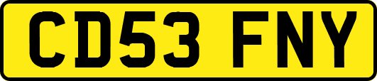 CD53FNY