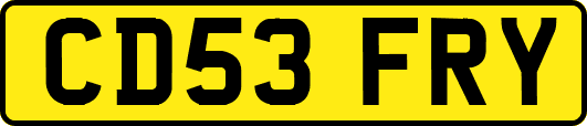 CD53FRY
