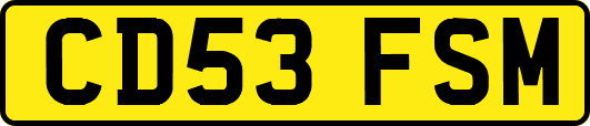 CD53FSM