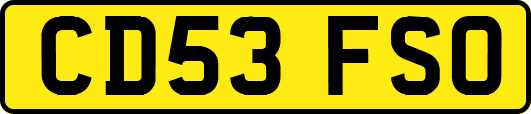 CD53FSO