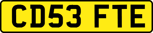 CD53FTE