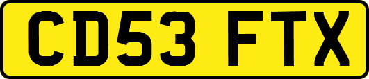CD53FTX