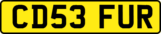 CD53FUR
