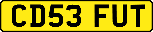CD53FUT