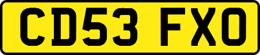 CD53FXO