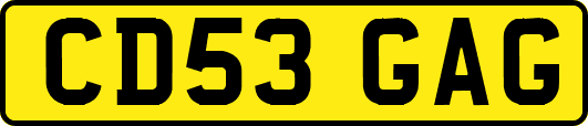 CD53GAG