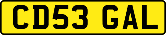 CD53GAL