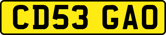 CD53GAO