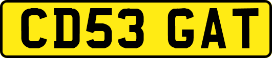 CD53GAT