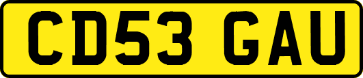 CD53GAU