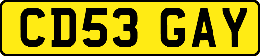 CD53GAY