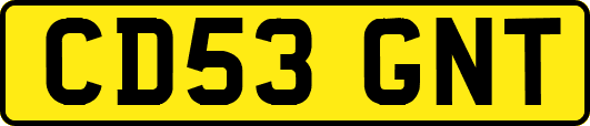 CD53GNT
