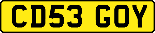 CD53GOY