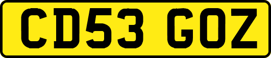 CD53GOZ