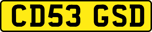 CD53GSD
