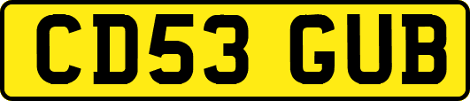 CD53GUB