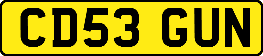 CD53GUN