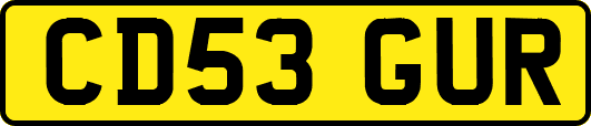 CD53GUR
