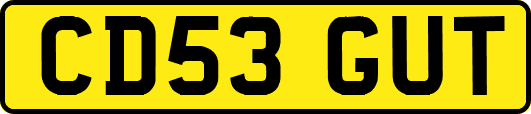 CD53GUT