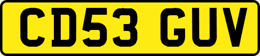 CD53GUV