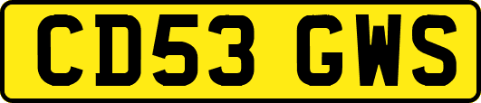CD53GWS