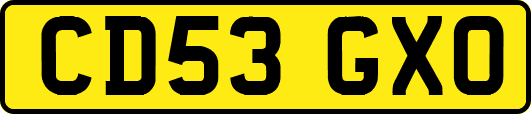 CD53GXO