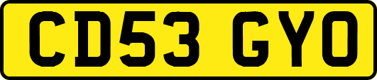 CD53GYO