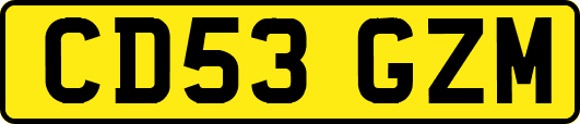 CD53GZM