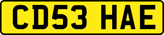 CD53HAE