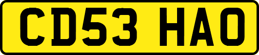 CD53HAO