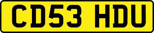 CD53HDU