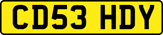 CD53HDY