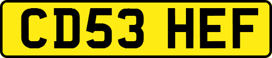 CD53HEF