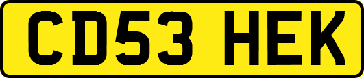 CD53HEK
