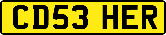 CD53HER