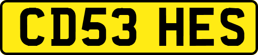 CD53HES