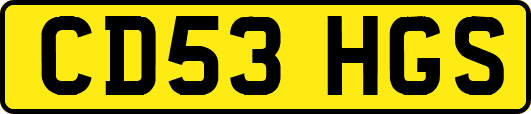 CD53HGS