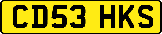 CD53HKS