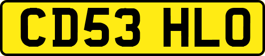 CD53HLO