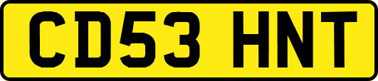 CD53HNT