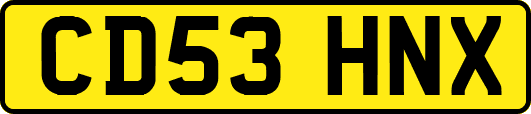 CD53HNX