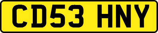CD53HNY
