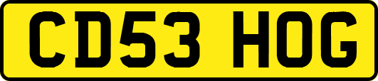 CD53HOG